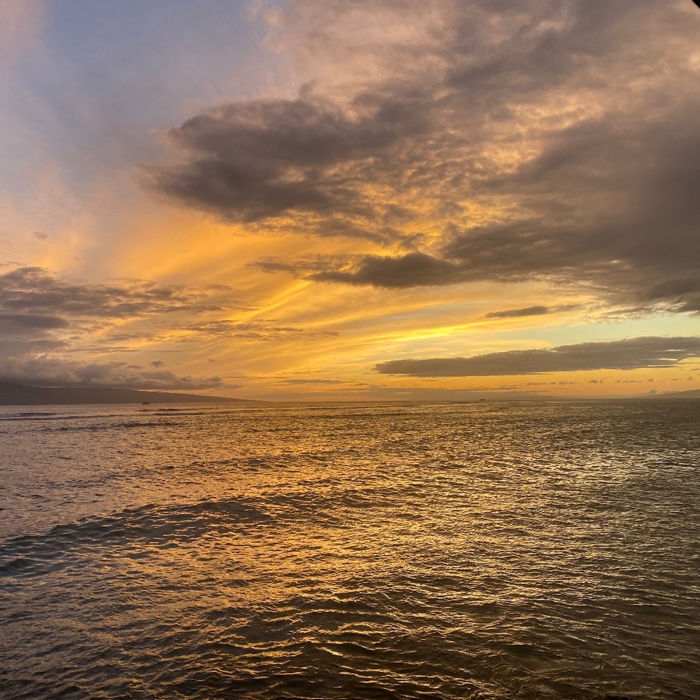 ❤️ *LIKE* This Post to BOOKMARK My Closet! ❤️